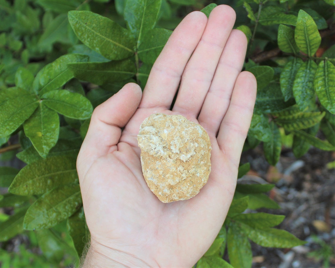 Moroccan Crystal Quartz Geodes
