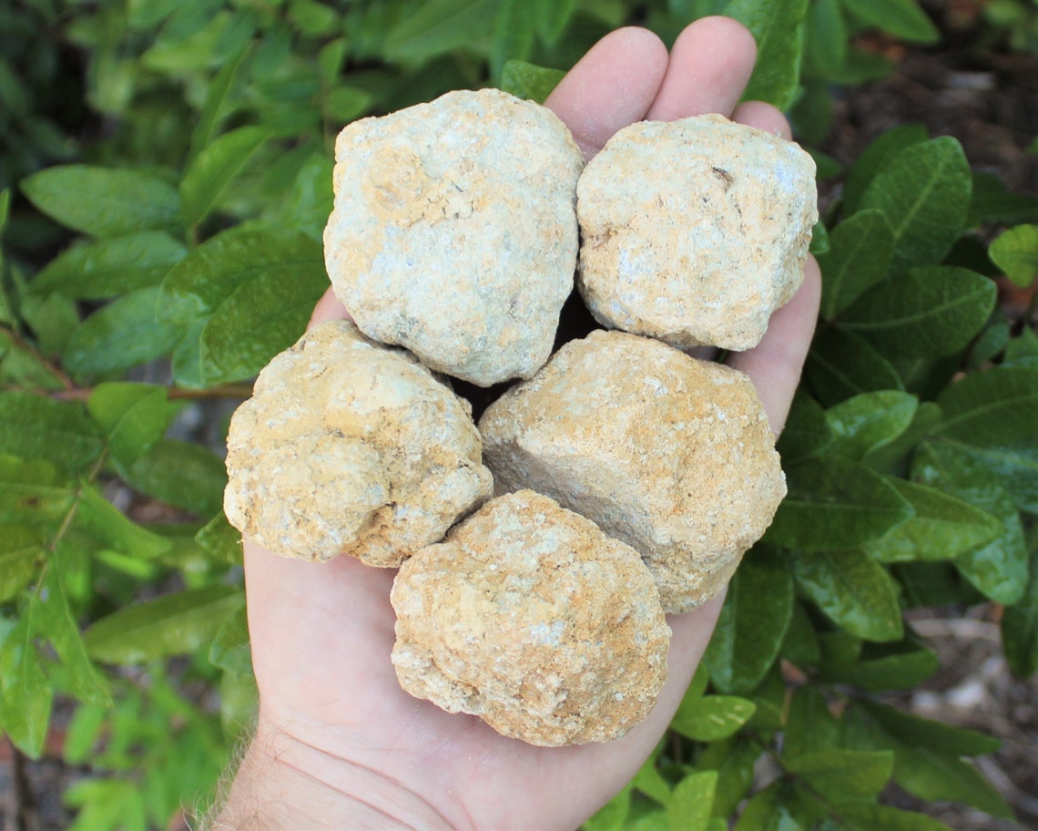 Moroccan Crystal Quartz Geodes