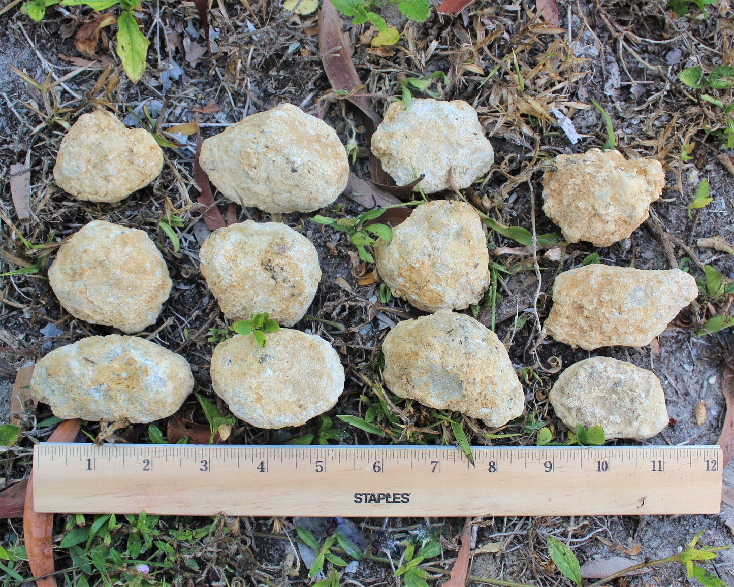 Radiant Moroccan Quartz Geodes