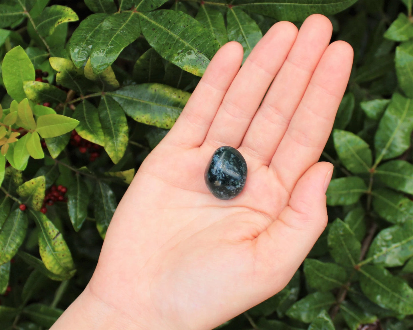 Moss Agate Grade Tumbled Stones