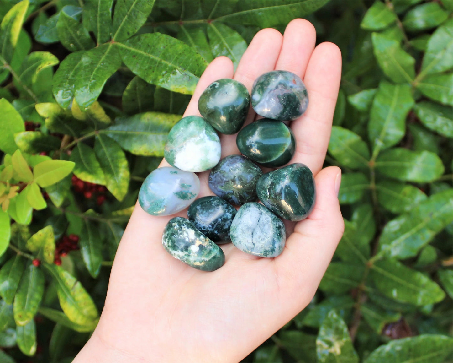 Moss Agate Grade Tumbled Stones