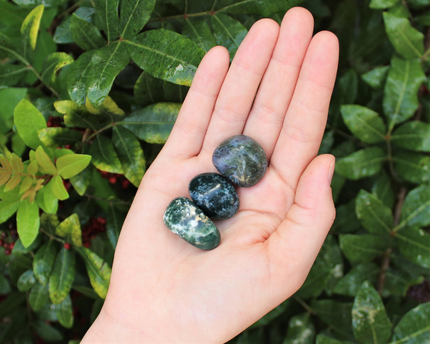 Moss Agate Grade Tumbled Stones