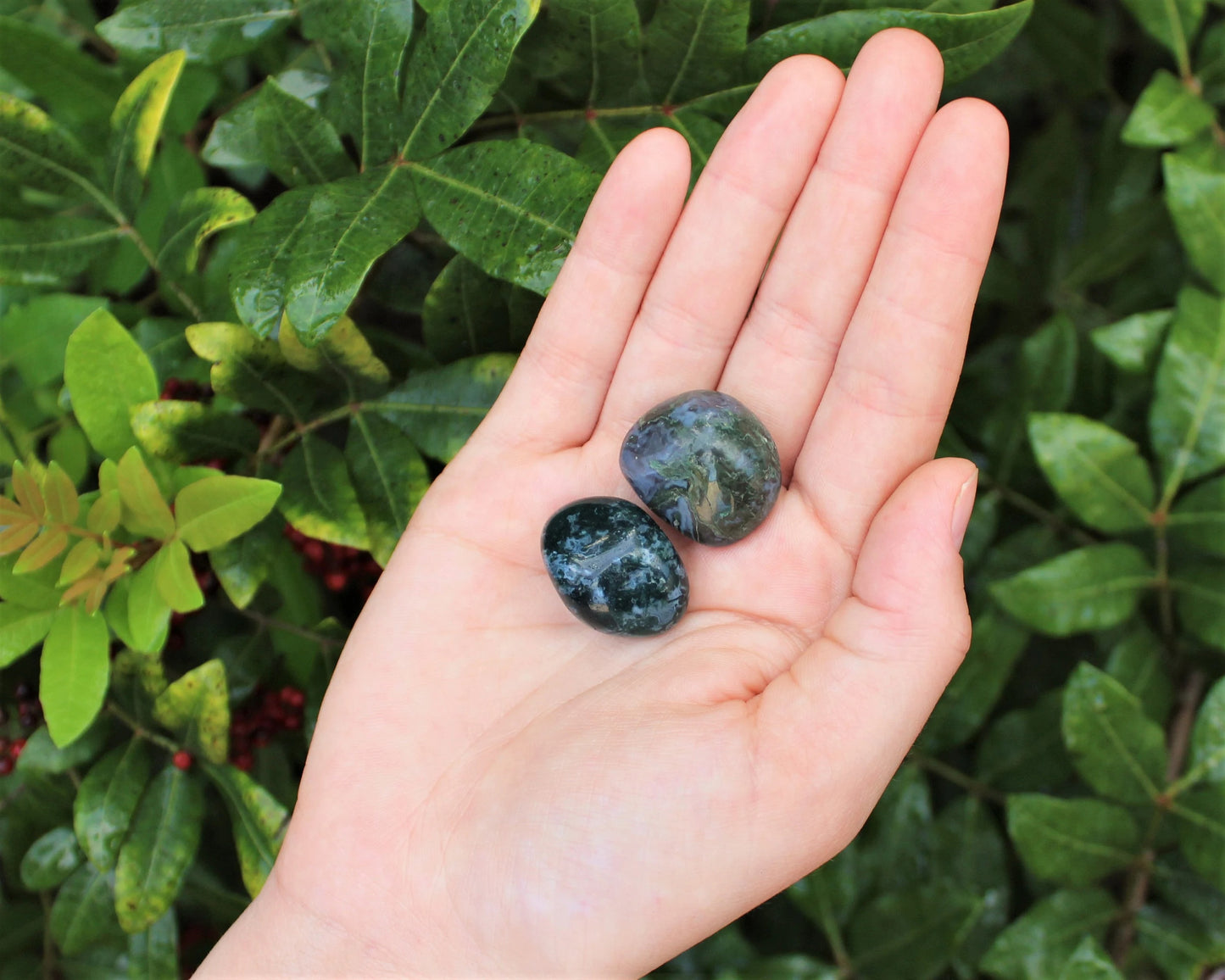 Moss Agate Grade Tumbled Stones
