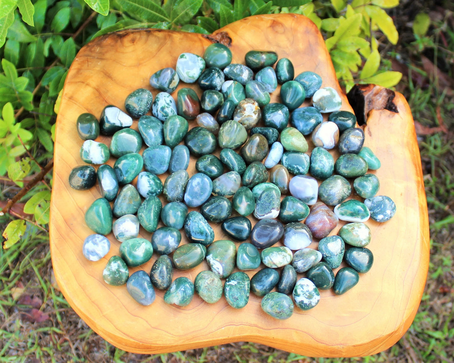 Moss Agate Grade Tumbled Stones