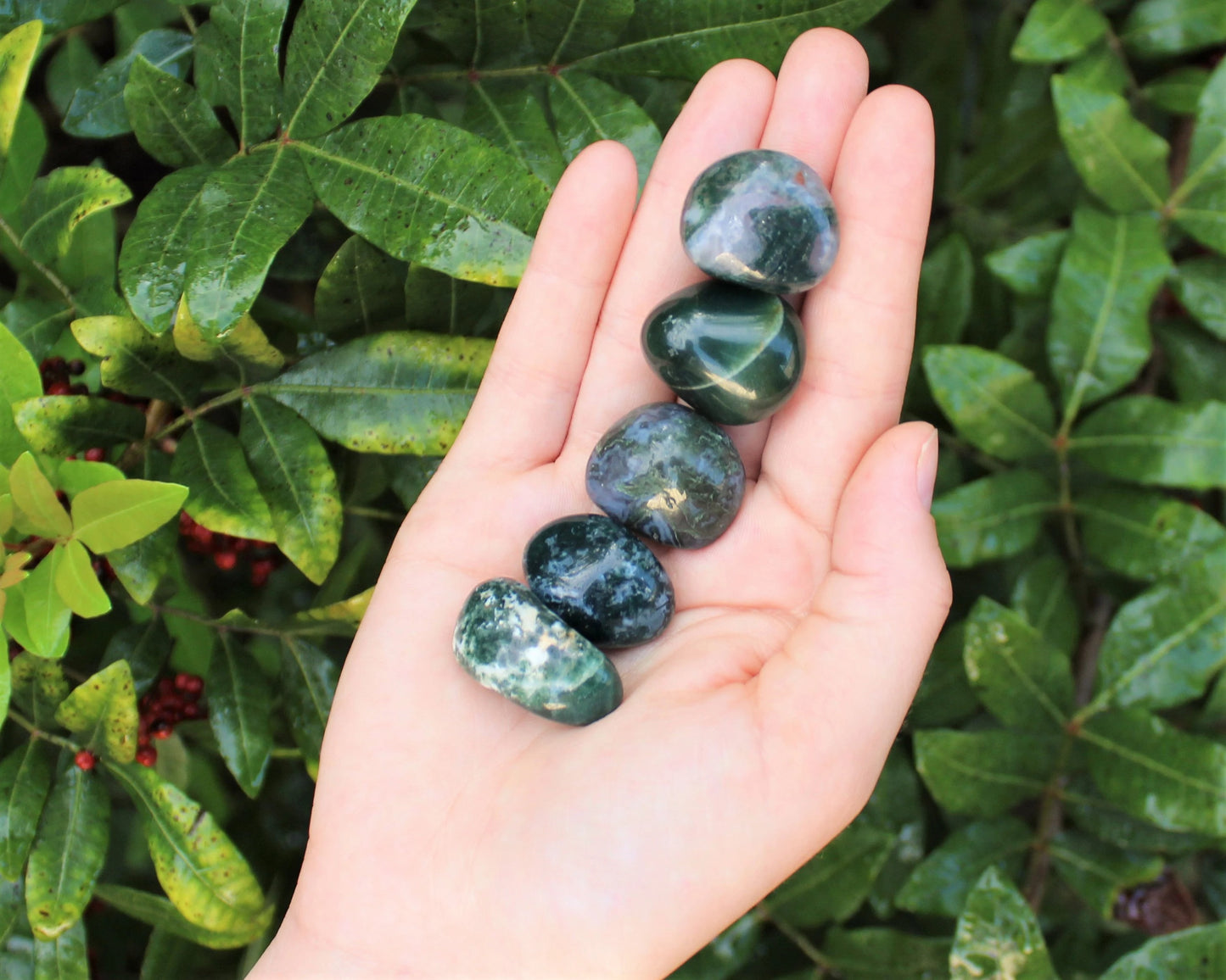 Moss Agate Grade Tumbled Stones