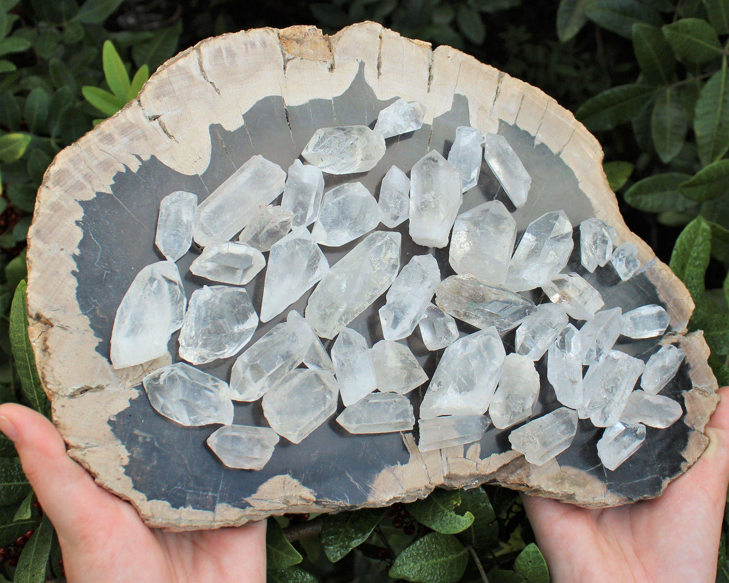 Natural Clear Quartz Crystals