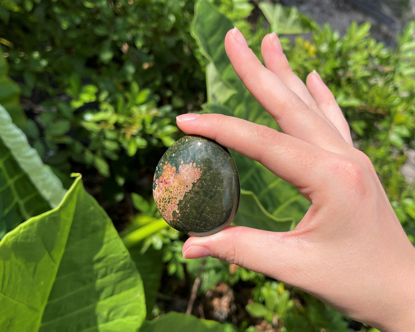 Elegant Ocean Jasper Polished Stones