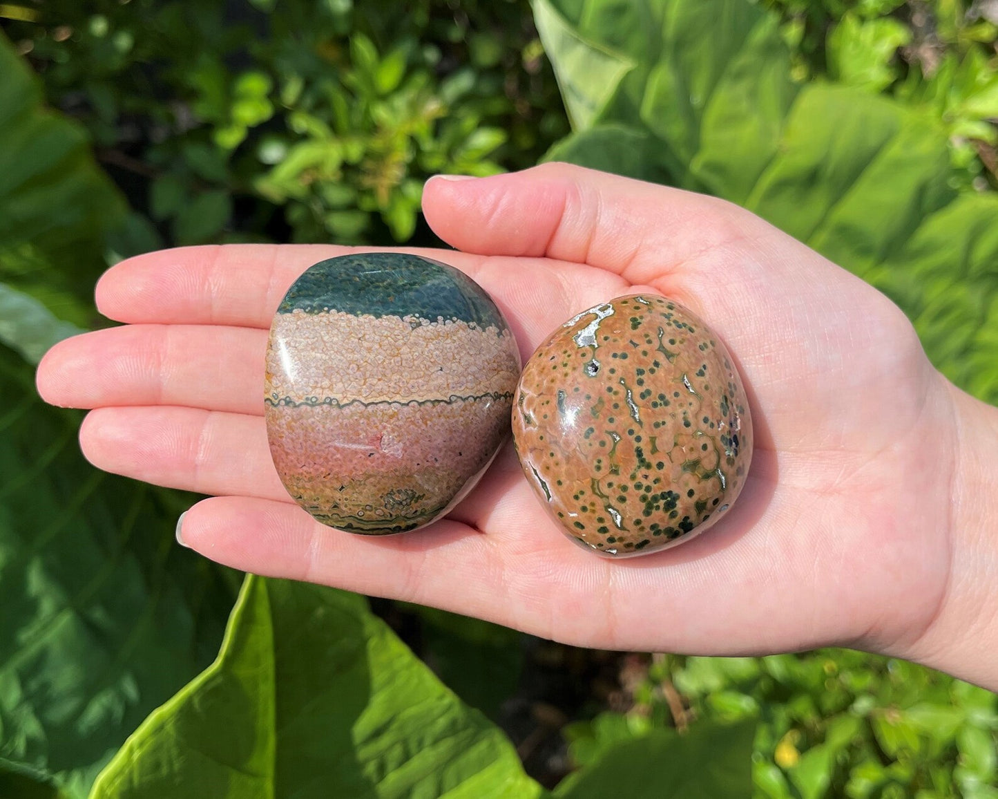 Elegant Ocean Jasper Polished Stones