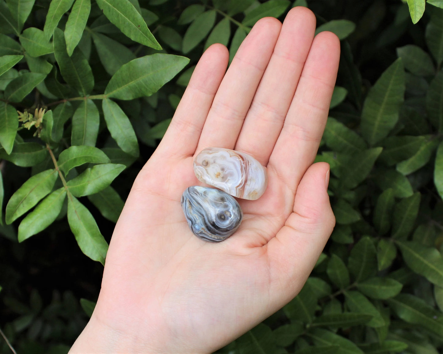 Oco Agate Tumbled Stones