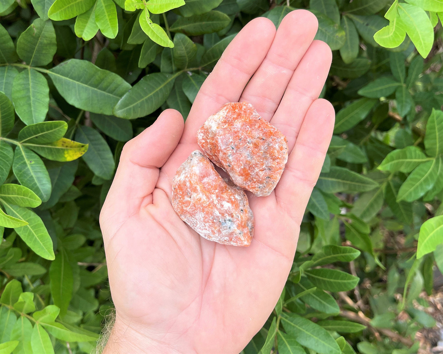 Orchid Calcite Rough Crystals