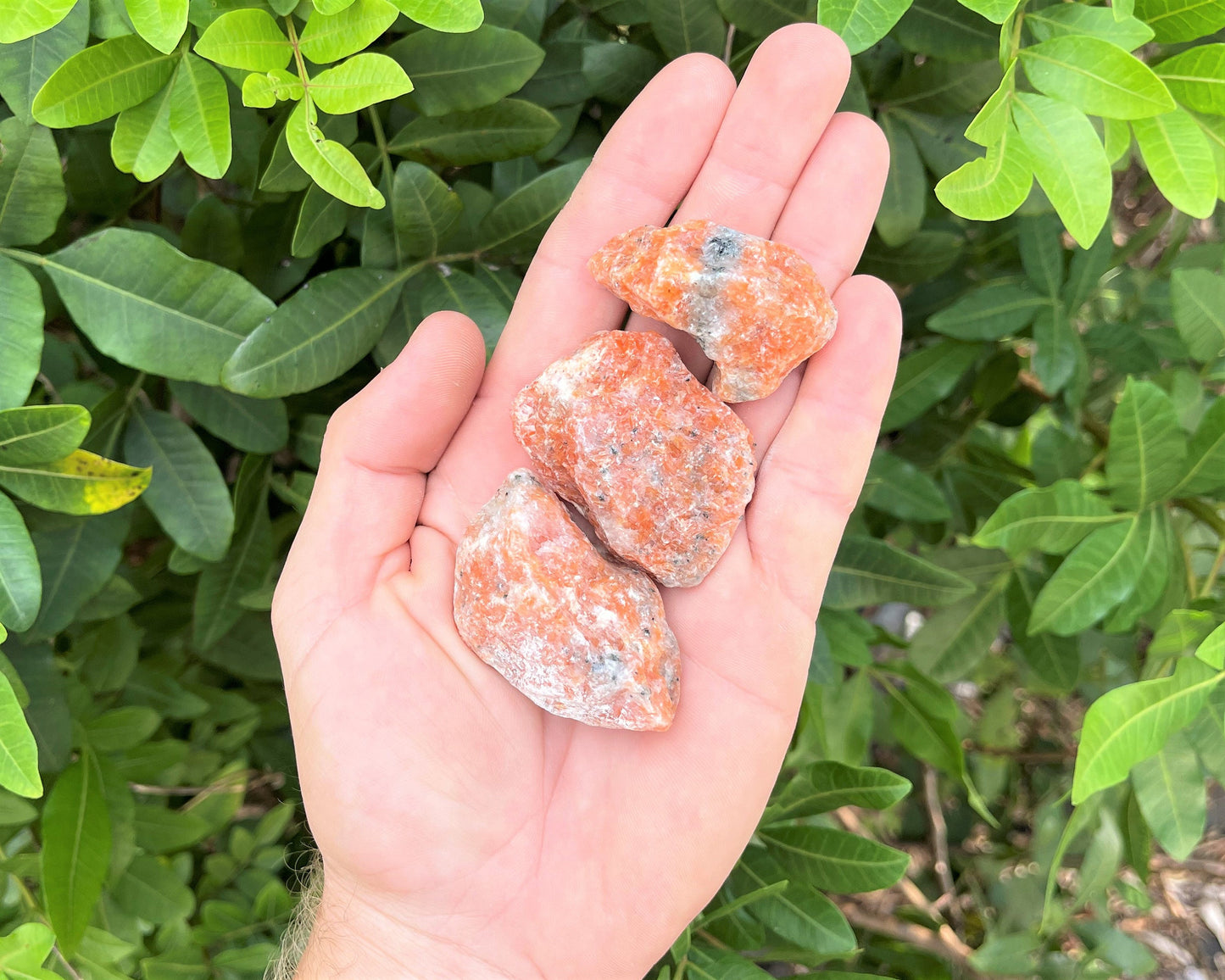 Orchid Calcite Rough Crystals