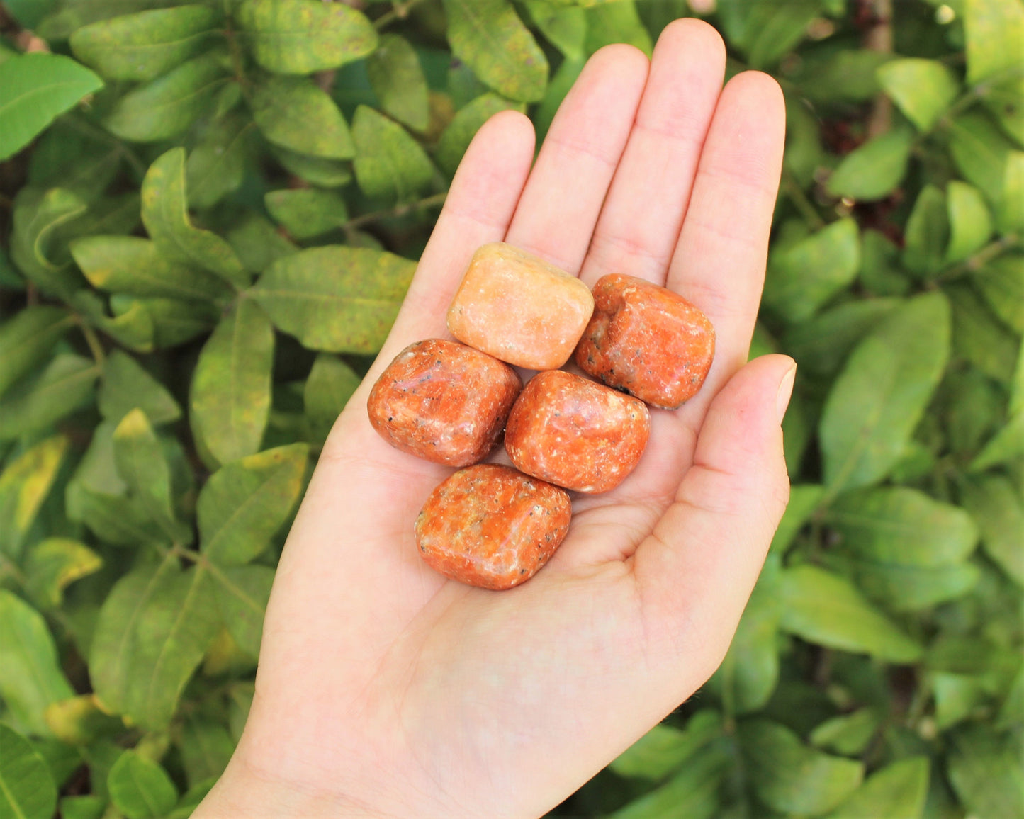 Orchid Calcite Tumbled Stones