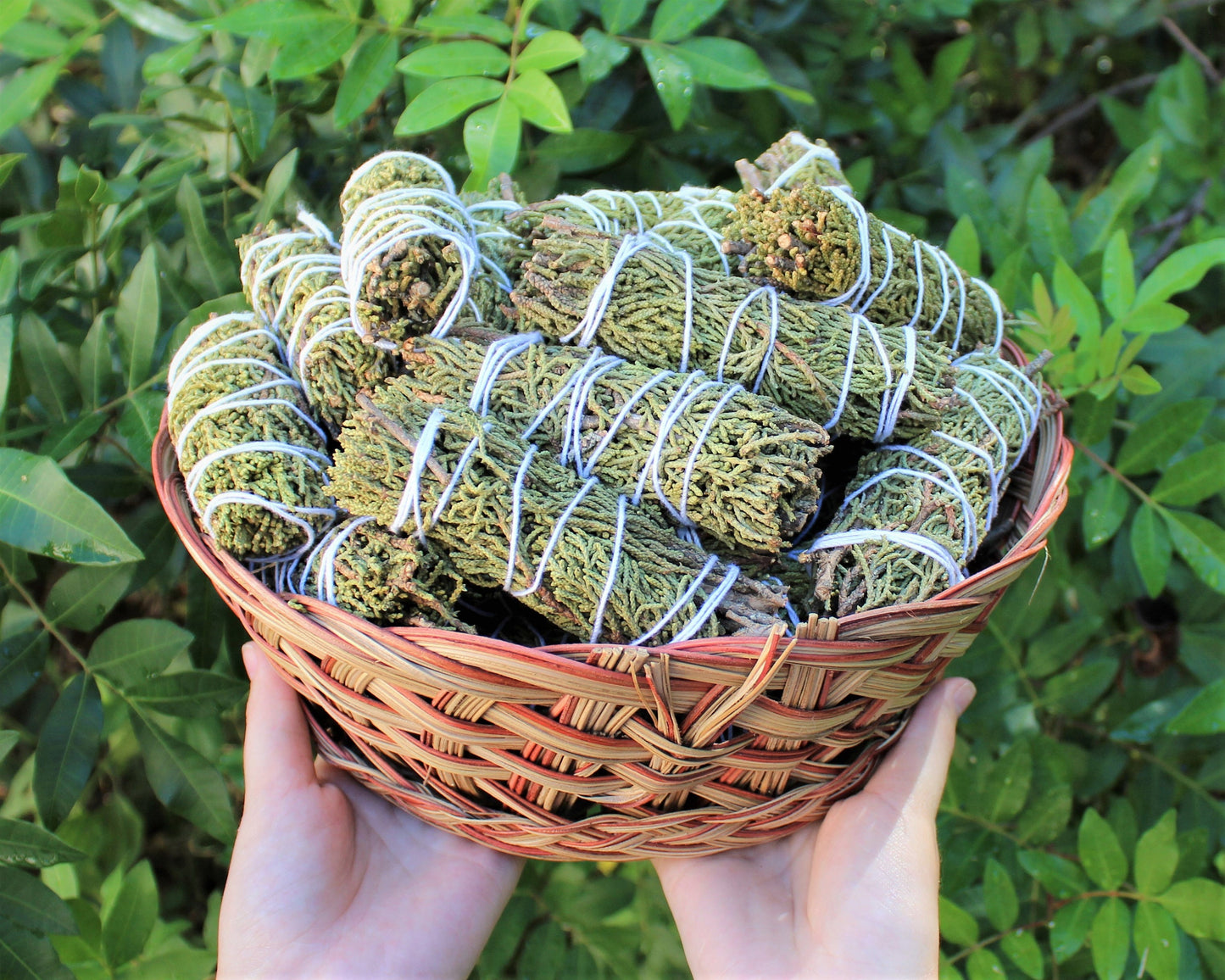 Pack Of Three Juniper Smudge Stick
