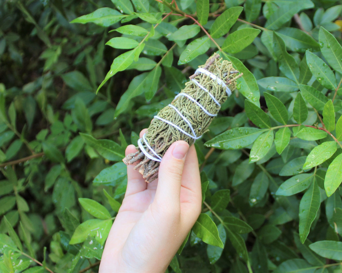 Pack Of Three Juniper Smudge Stick
