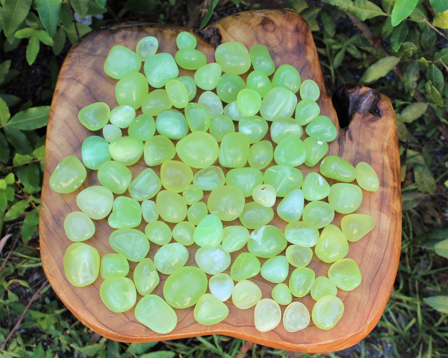 Parrot Design Onyx Tumbled Stones