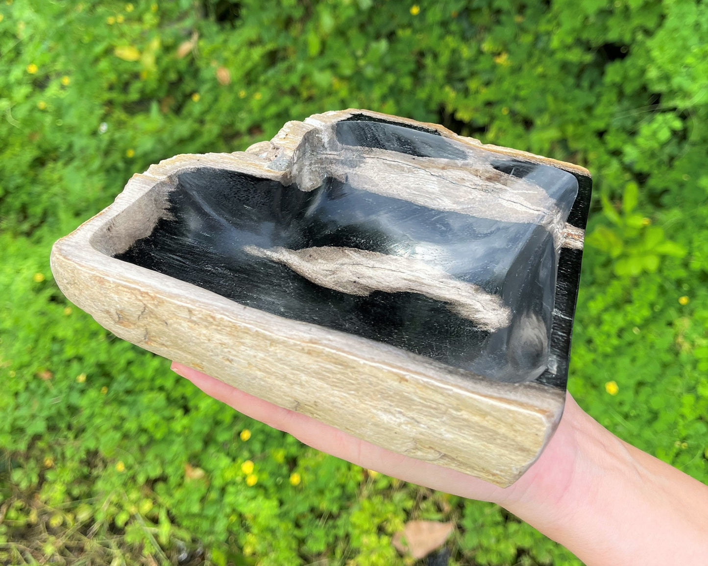 Petrified Wood Crystal Bowl