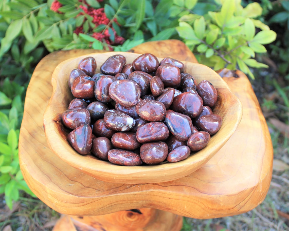 Petrified Wood Tumbled Stones