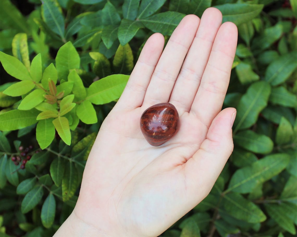 Petrified Wood Tumbled Stones