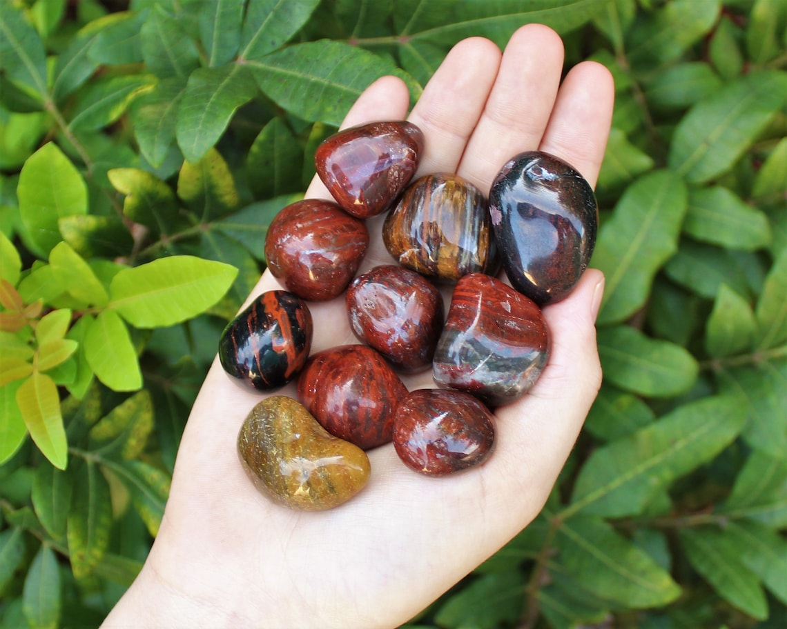 Petrified Wood Tumbled Stones