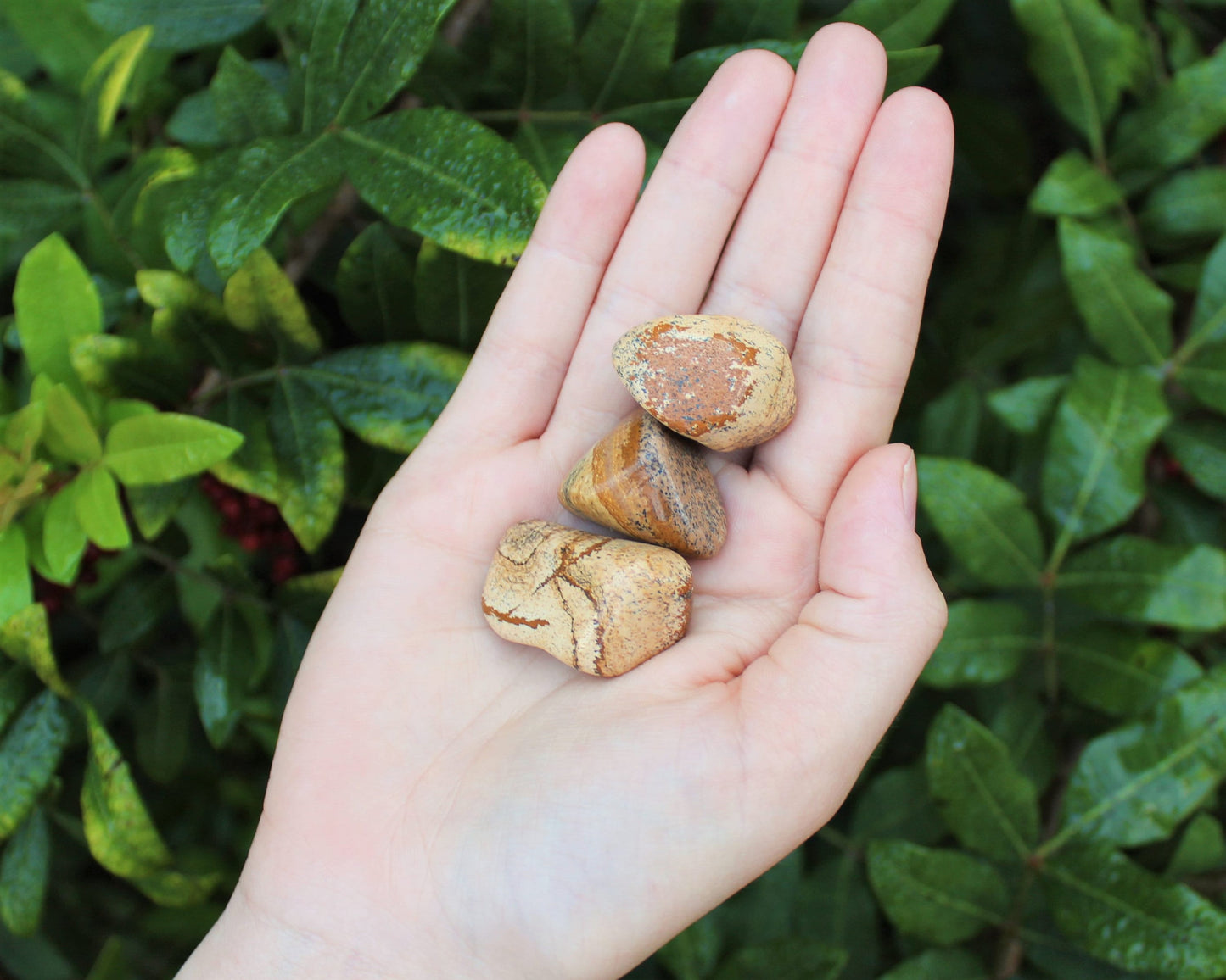 Jasper Essence Tumbled Stones