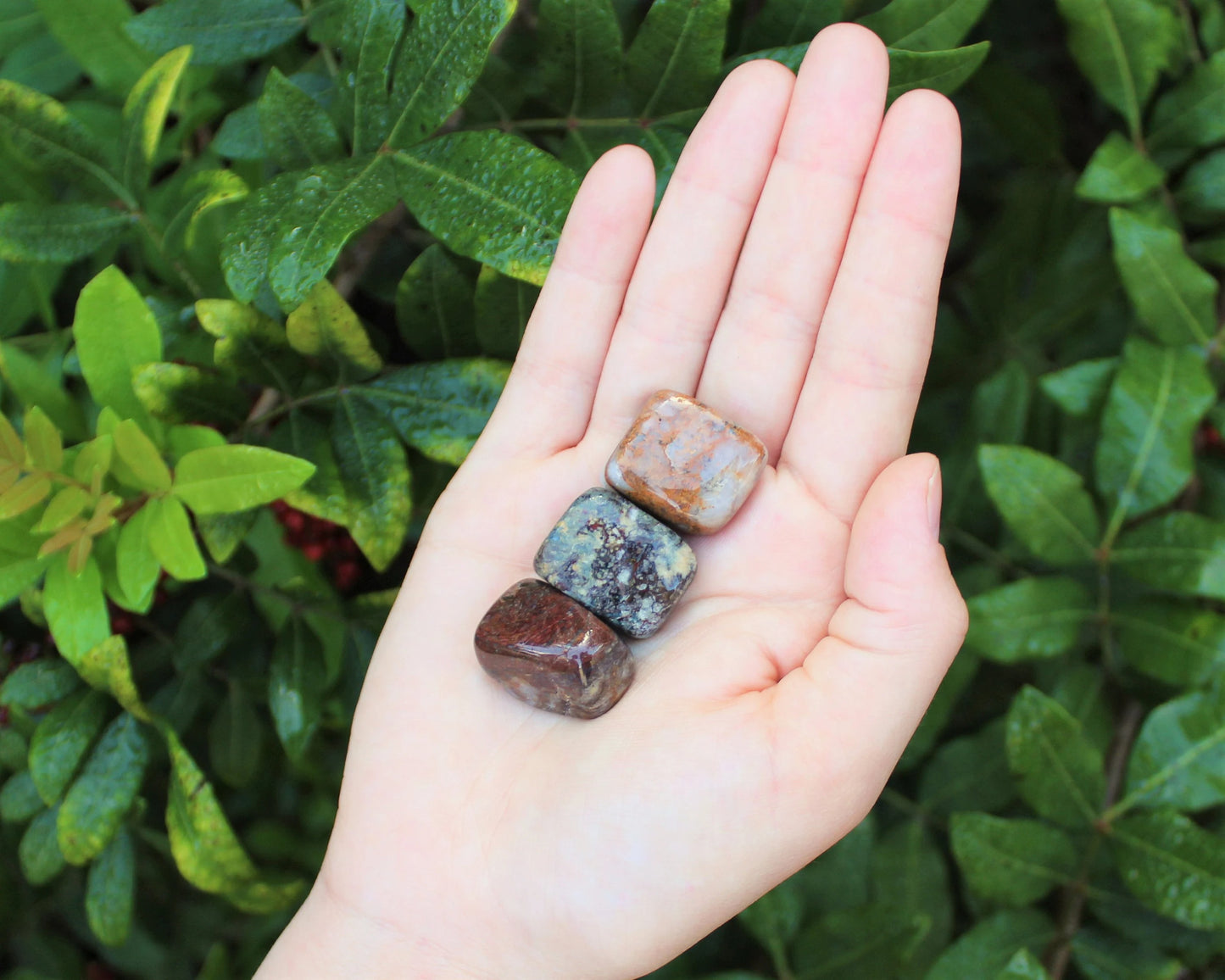 Pietersite Tumbled Stone
