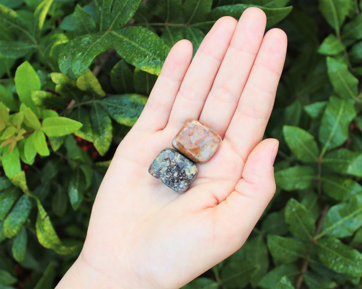 Pietersite Tumbled Stone