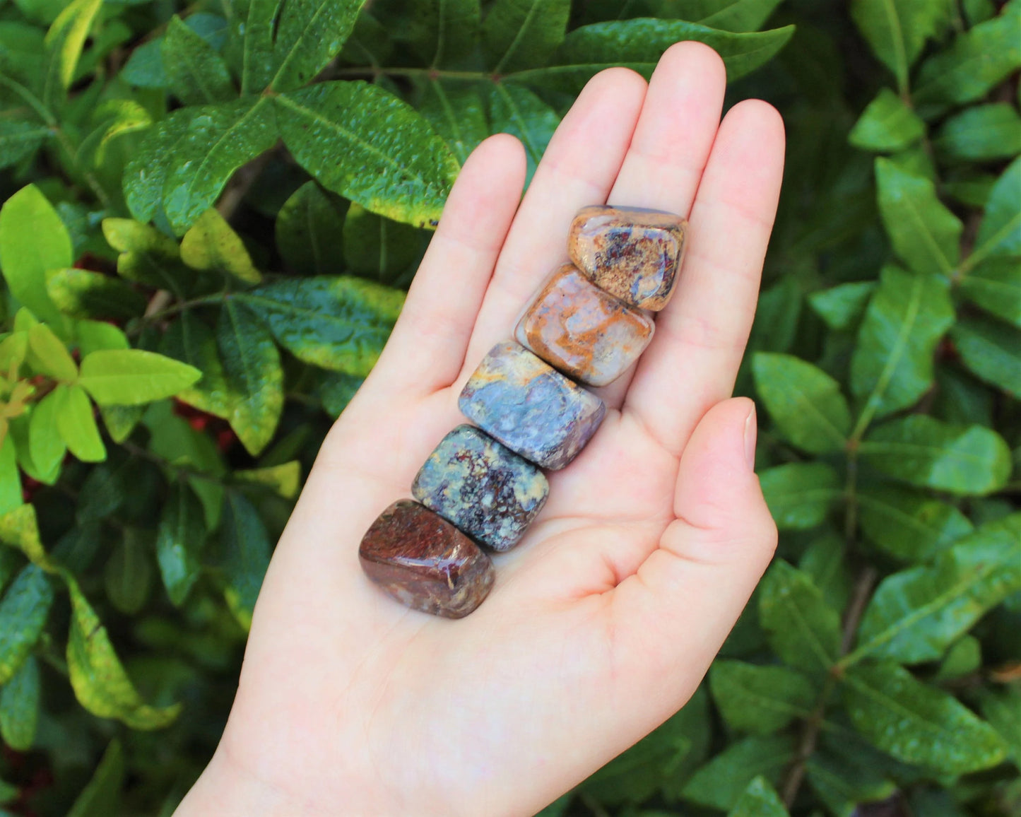 Pietersite Tumbled Stone
