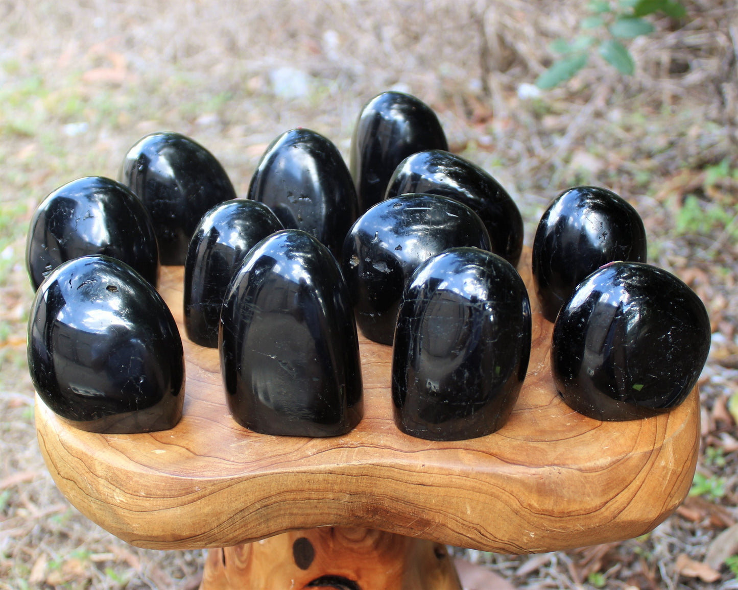 Polished Tourmaline Freeform Stones