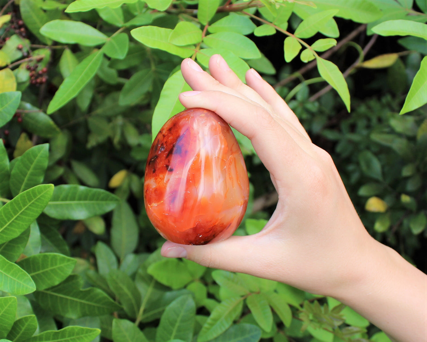 Polished Carnelian Freeform Stones