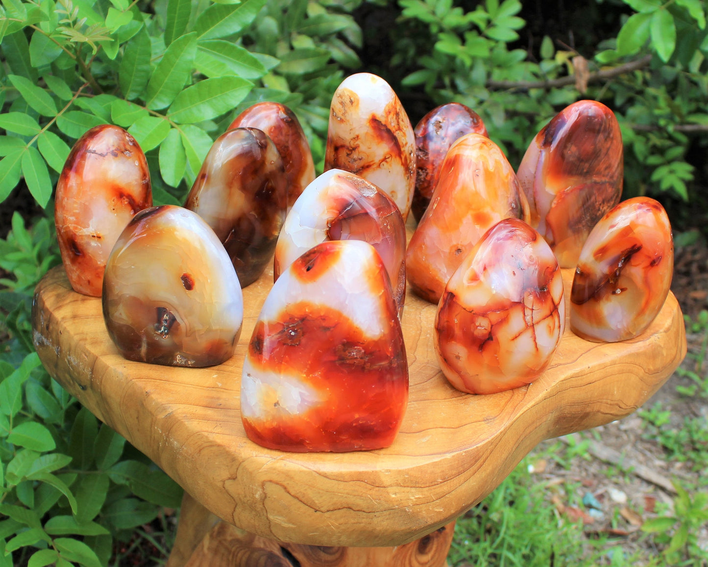 Polished Carnelian Freeform Stones