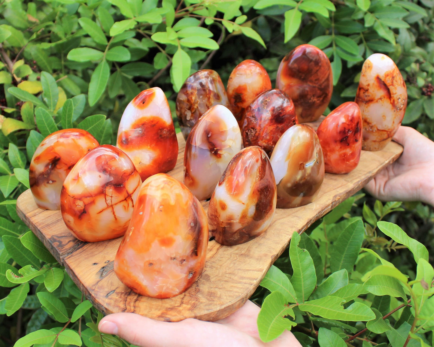 Polished Carnelian Freeform Stones