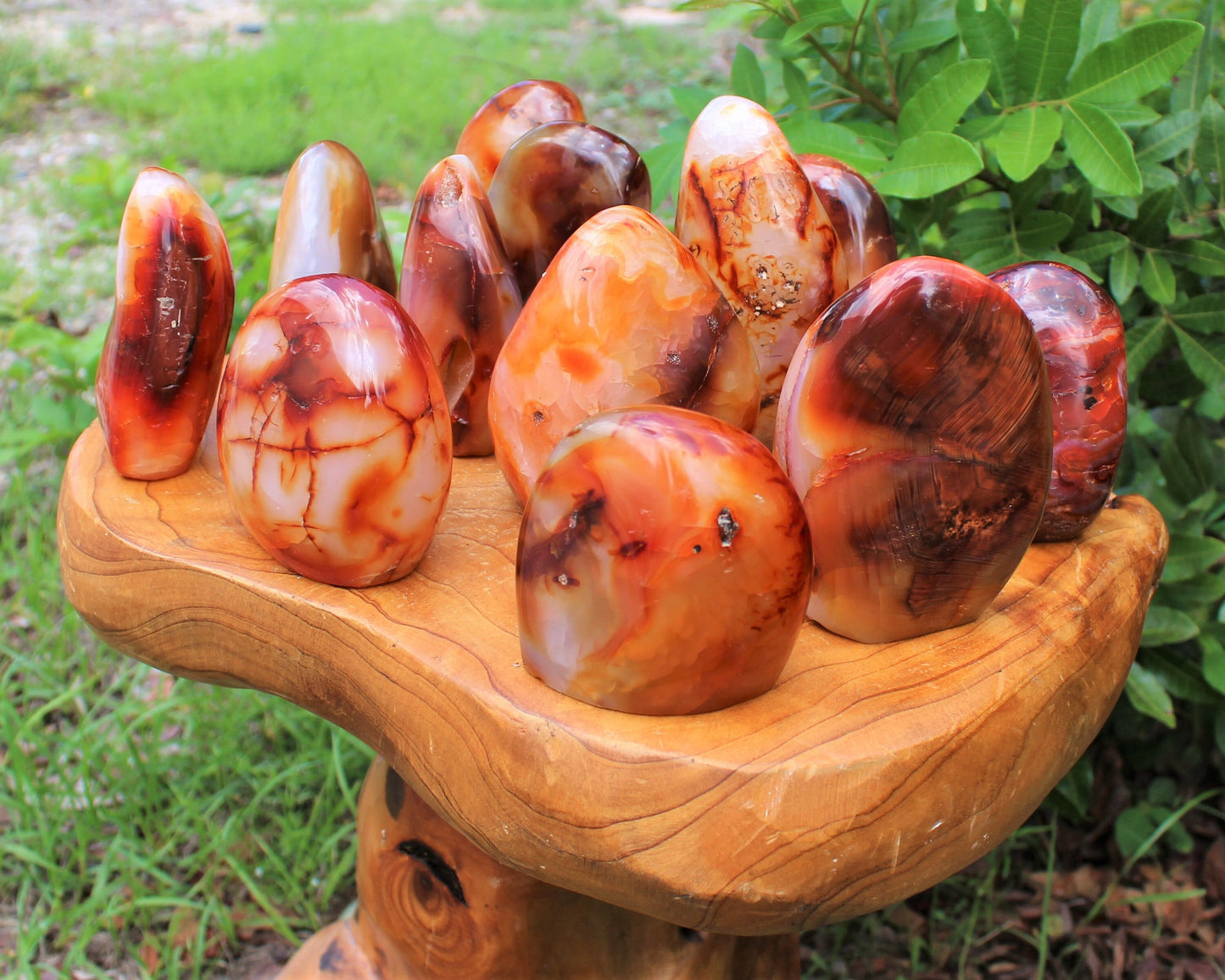 Polished Carnelian Freeform Stones