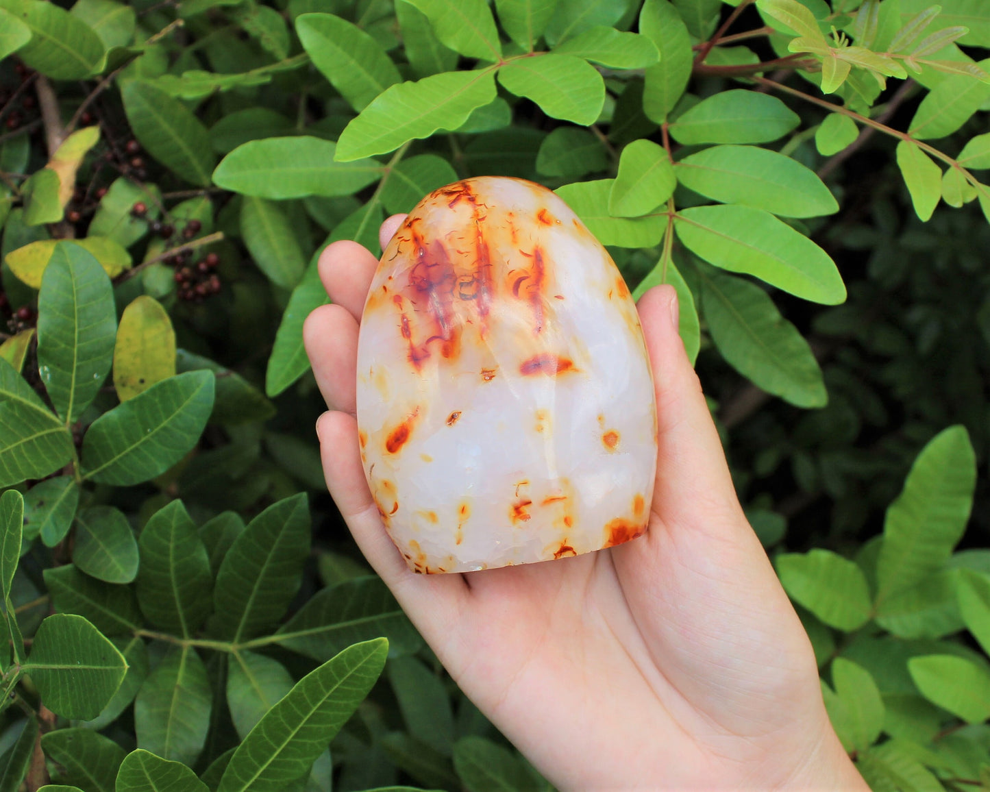 Polished Carnelian Freeform Stones