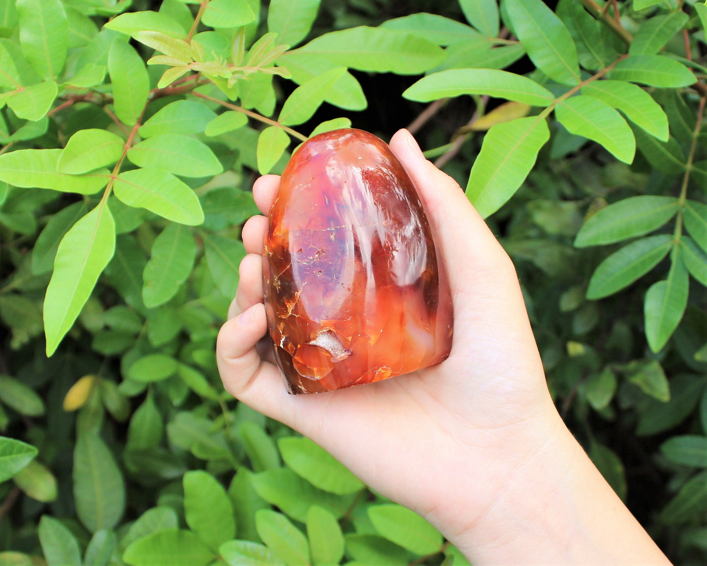 Polished Carnelian Freeform Stones