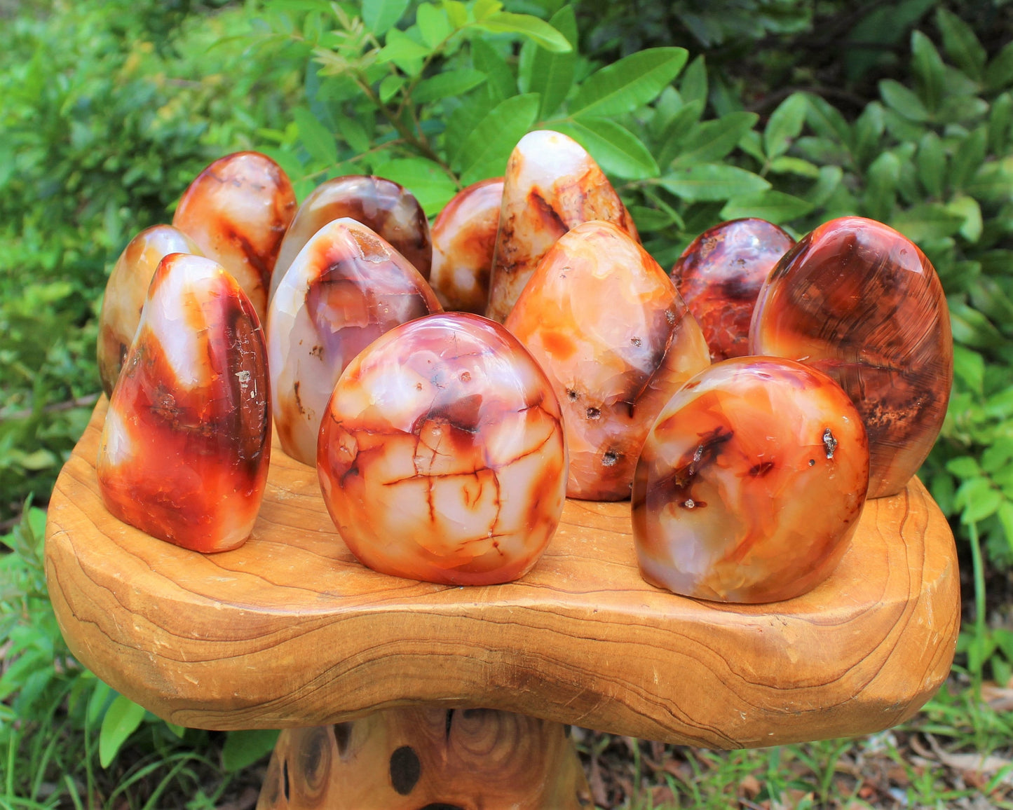 Polished Carnelian Freeform Stones