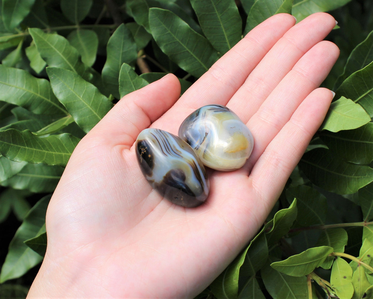 Polished Denritic Agate Stone