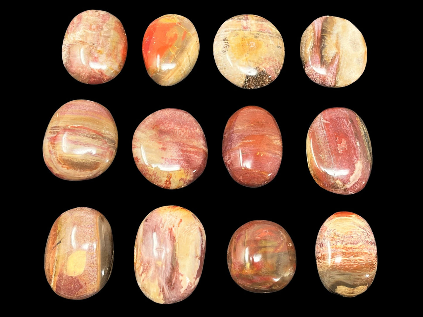 Polished Petrified Wood Stones