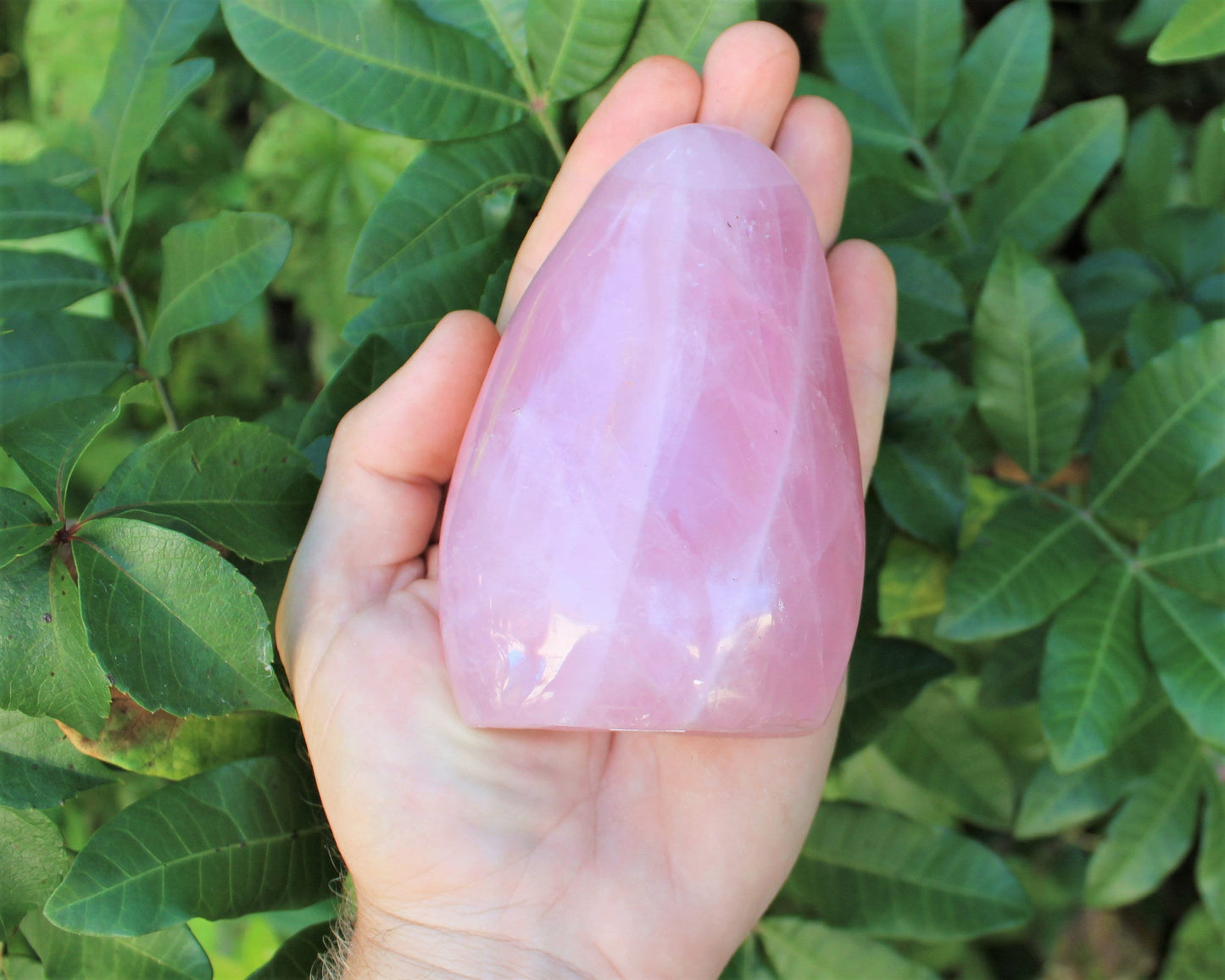 Polished Rose Quartz Stones