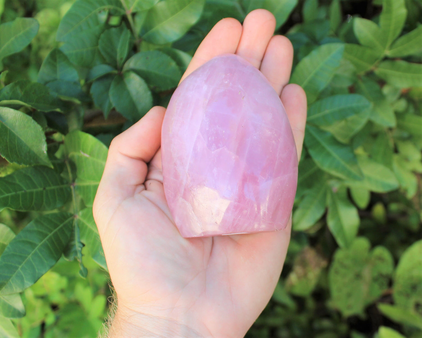 Polished Rose Quartz Stones