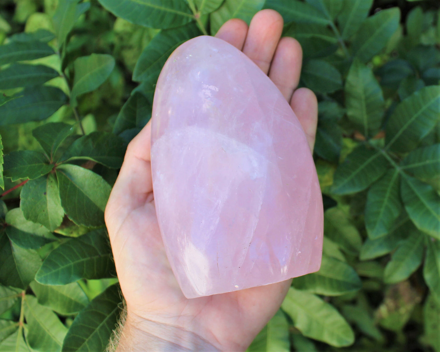 Polished Rose Quartz Stones