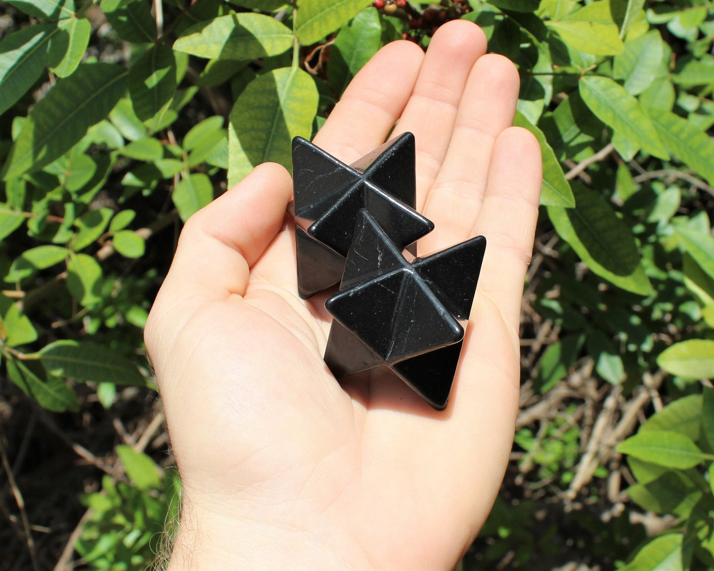 Polished Shungite Stones