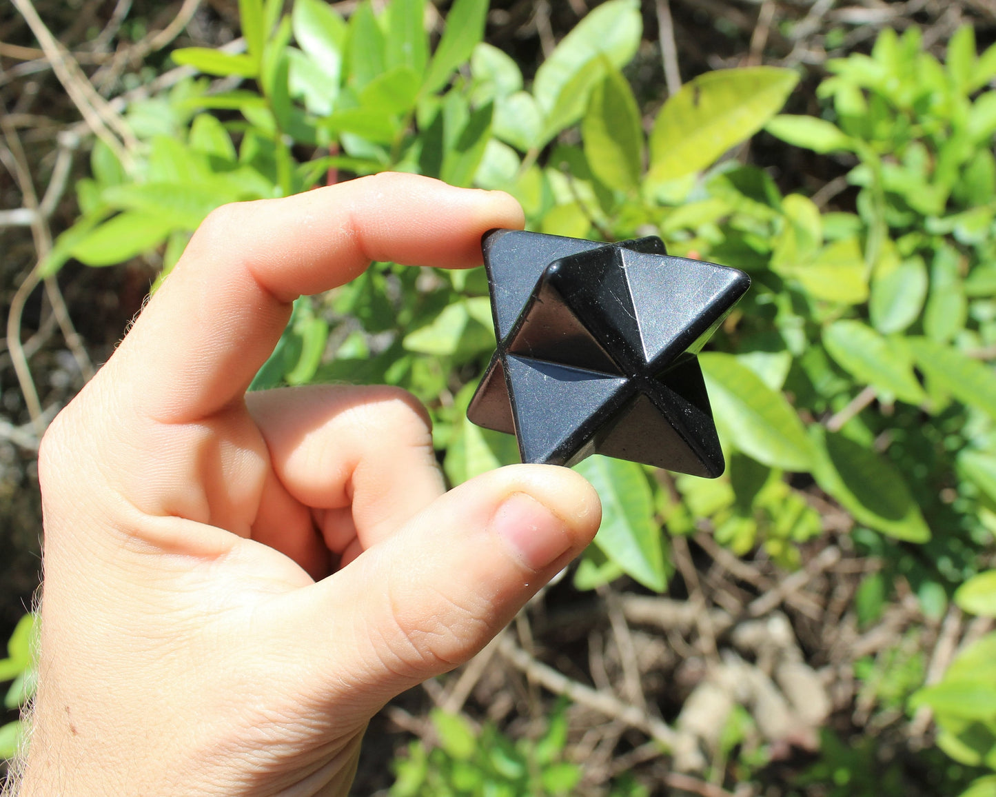 Polished Shungite Stones