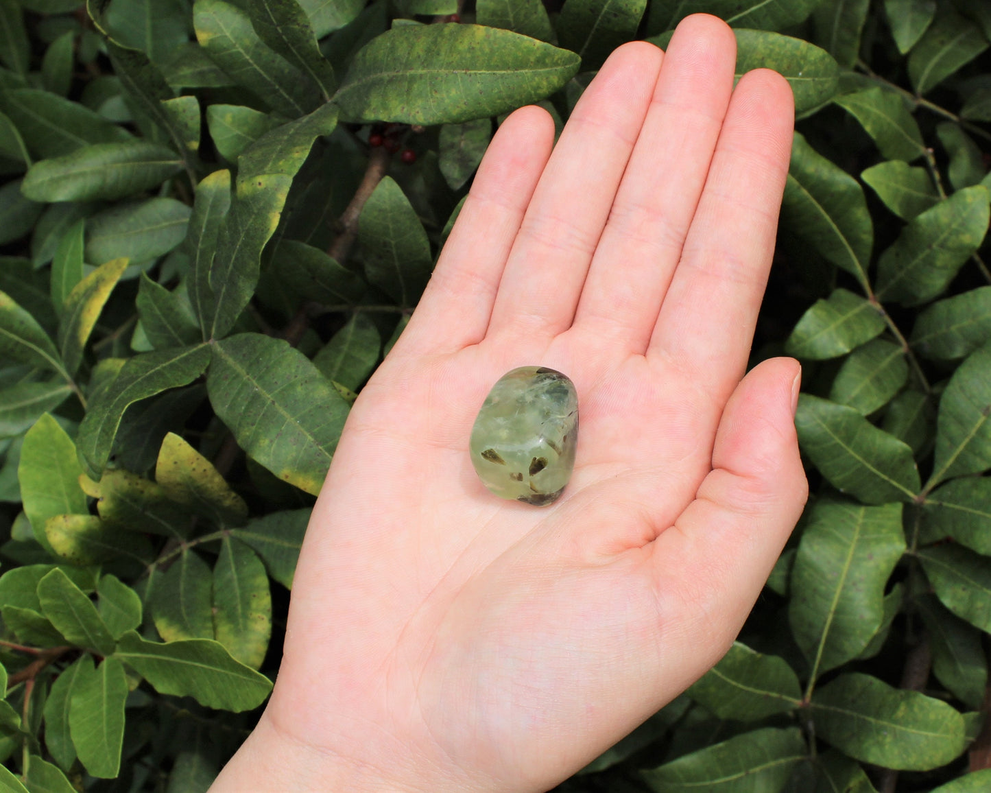 Prehnite With Epidote Tumbled Stones