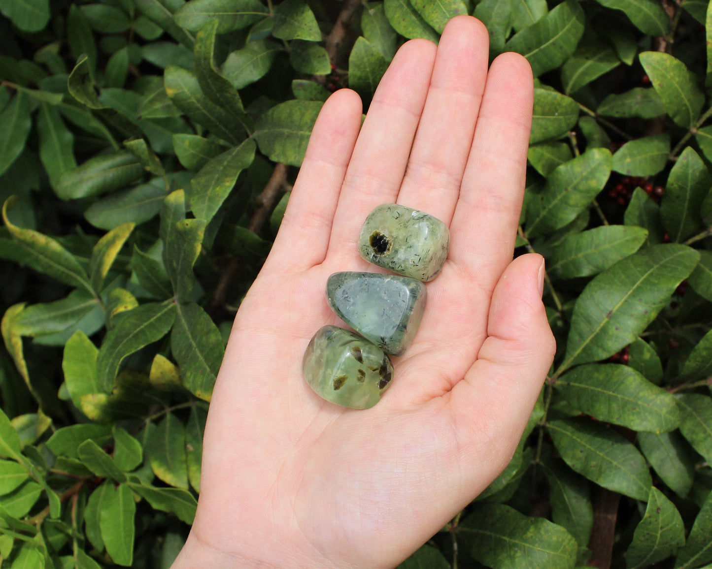 Prehnite With Epidote Tumbled Stones