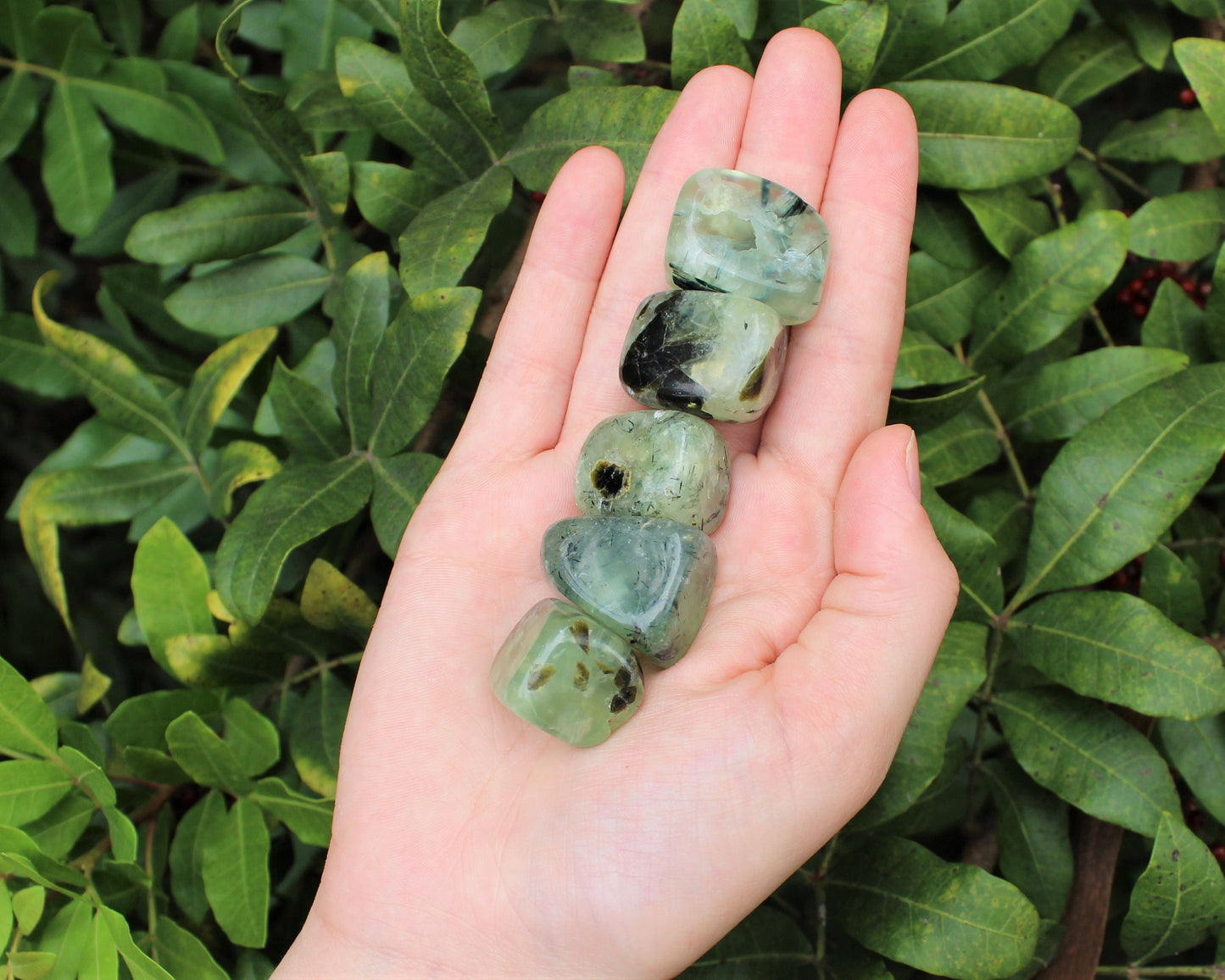 Prehnite With Epidote Tumbled Stones