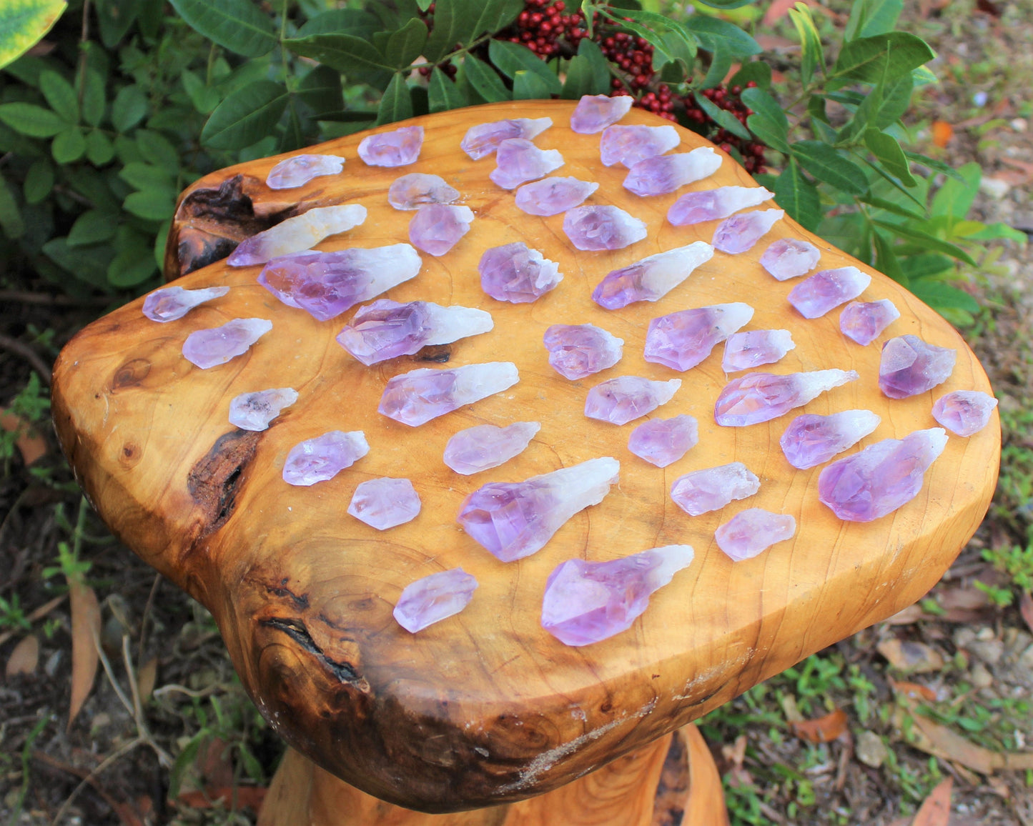 Premium Amethyst Points