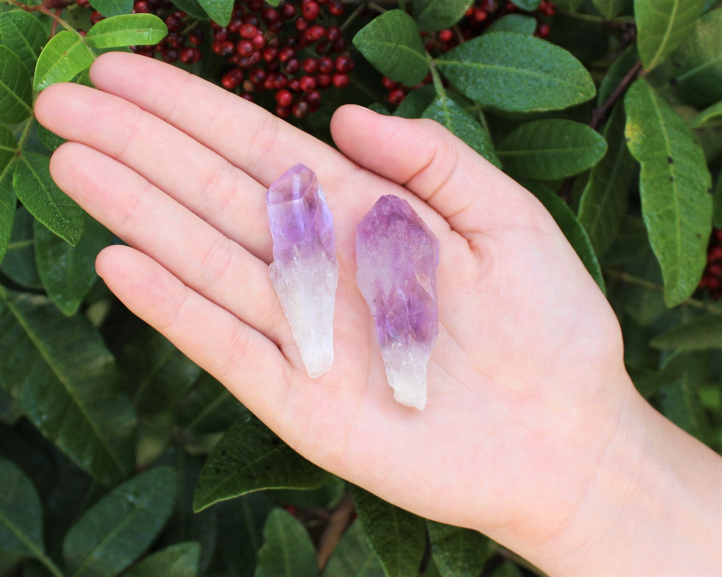 Premium Amethyst Points