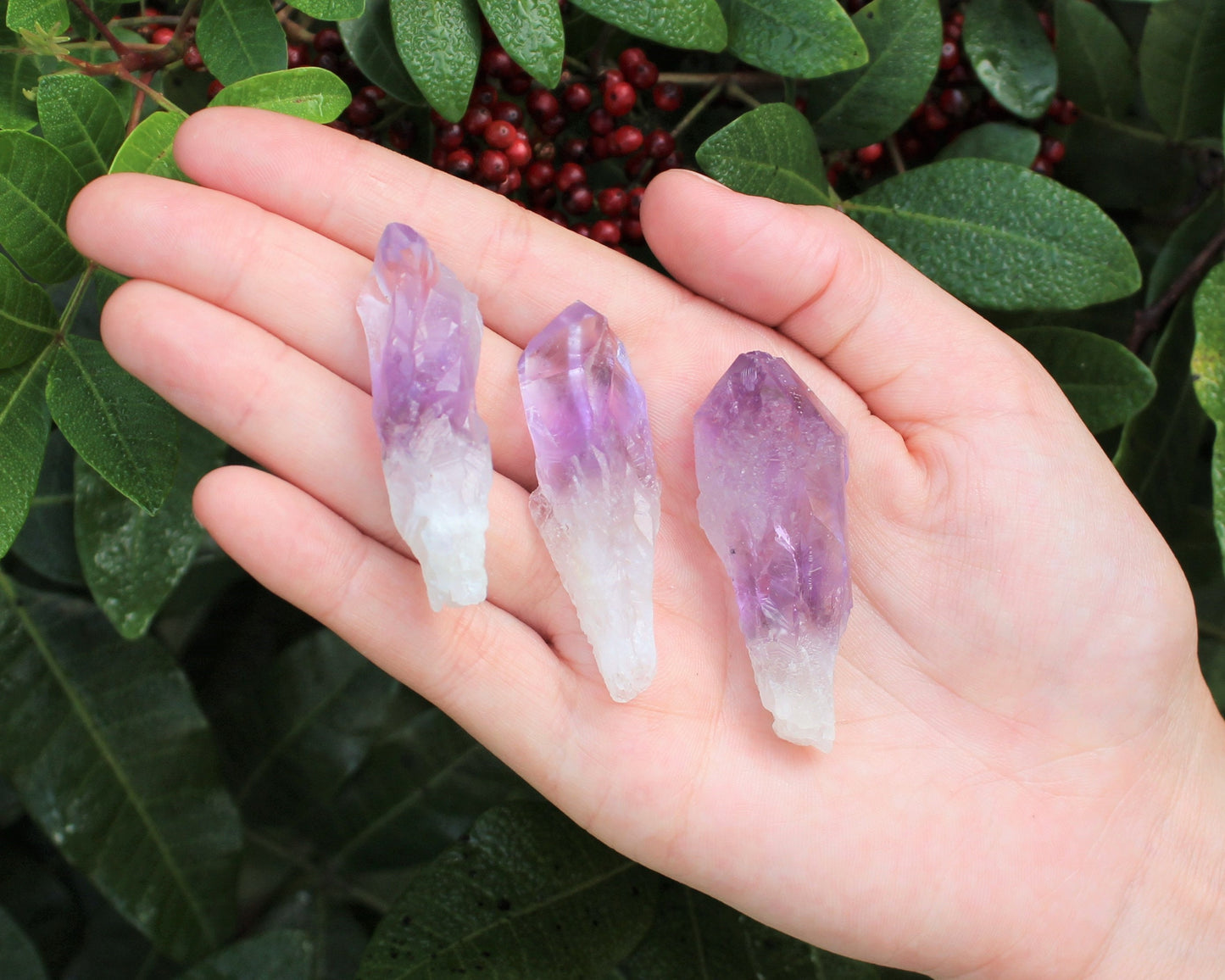 Premium Amethyst Points