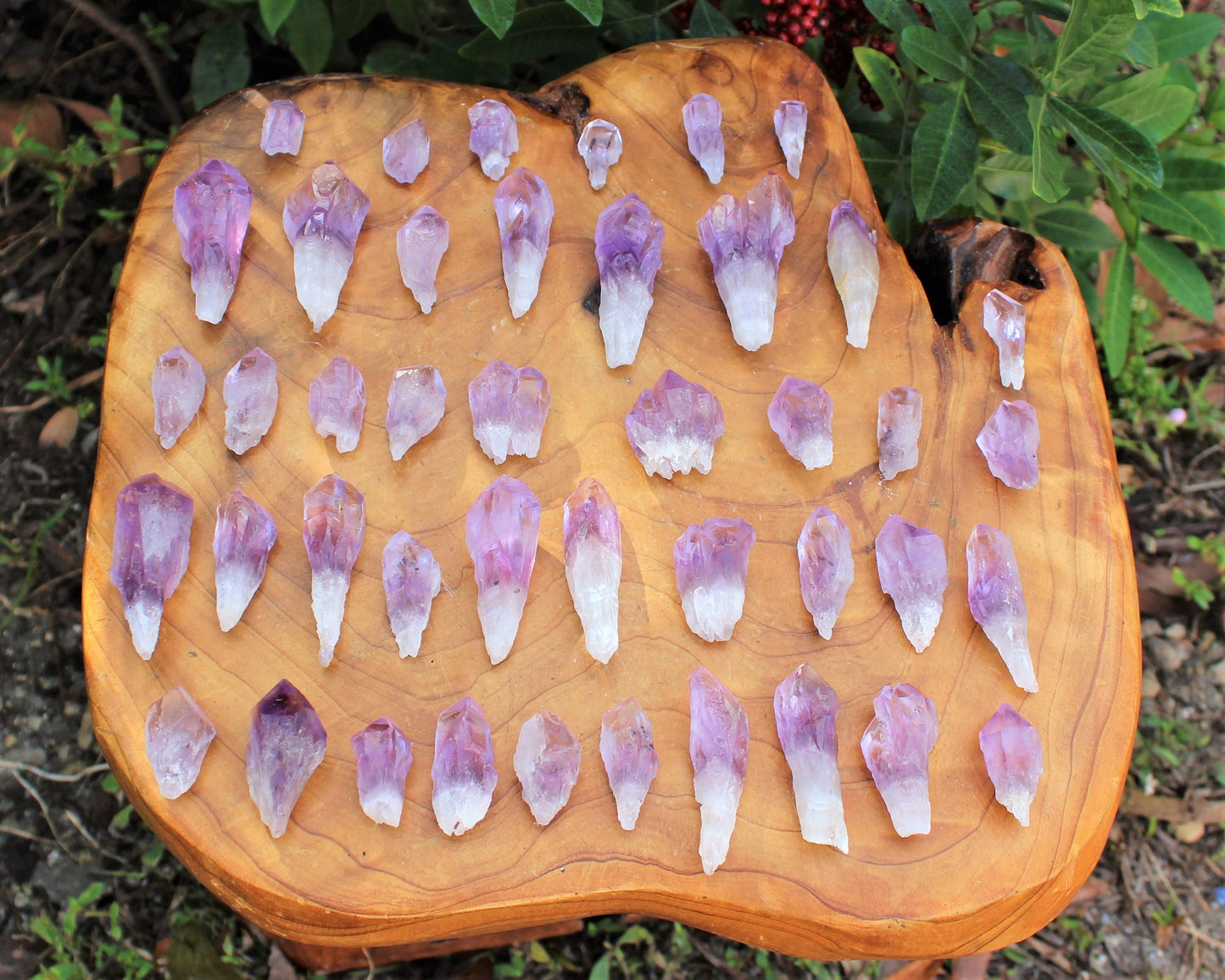 Premium Amethyst Points