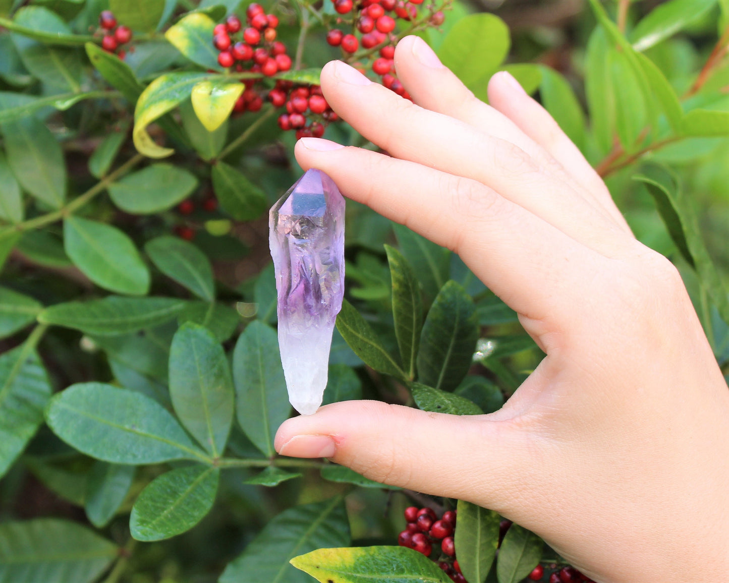 Premium Amethyst Points